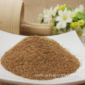 Top Quality Fennel Powder